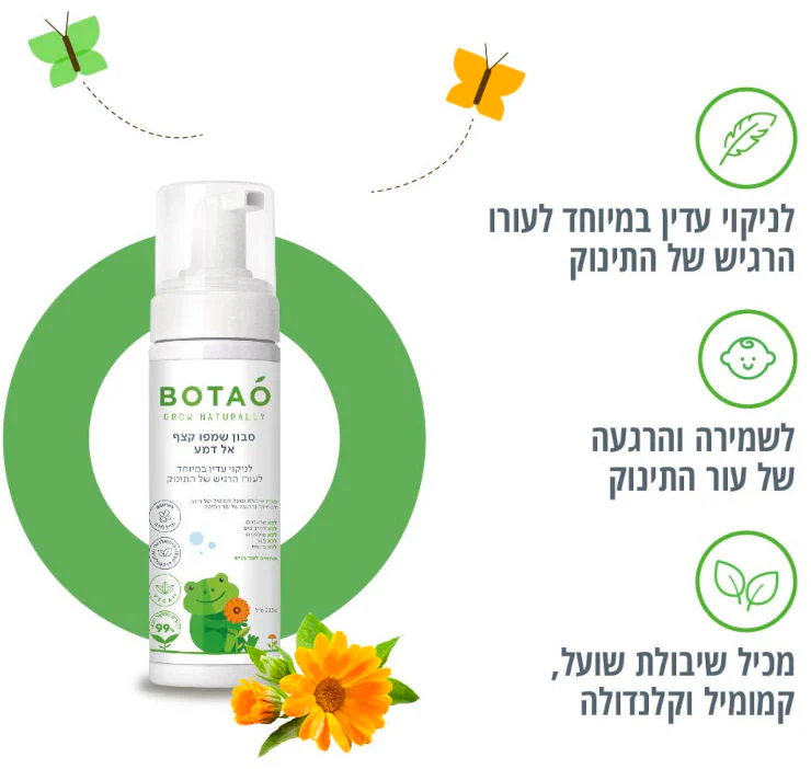 תמונת מוצר 3