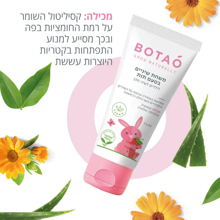 תמונת מוצר 4