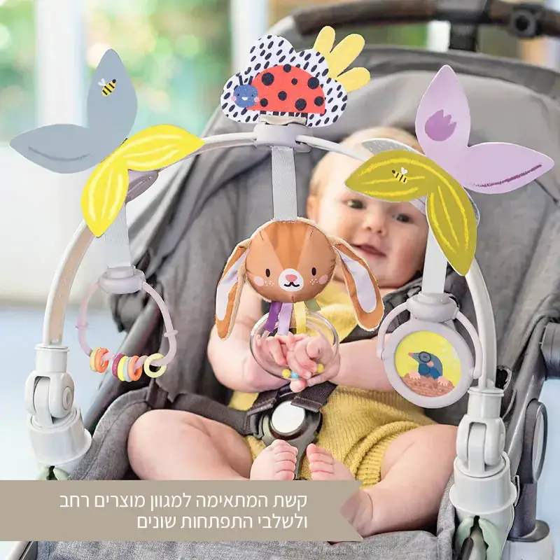 תמונת מוצר 2