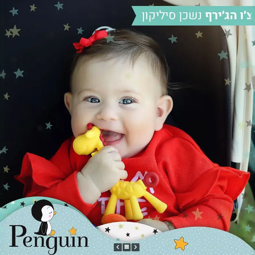 תמונת מוצר 3